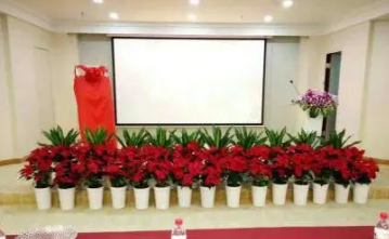 绿化养护、植物养护、植物批发、花卉租摆