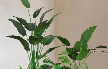 绿植仿真，仿真草坪，仿真绿植墙，仿真竹子